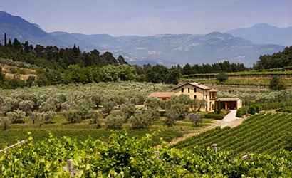 青島楊柳青青商貿(mào)有限公司